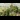 kew gardens.jpg
