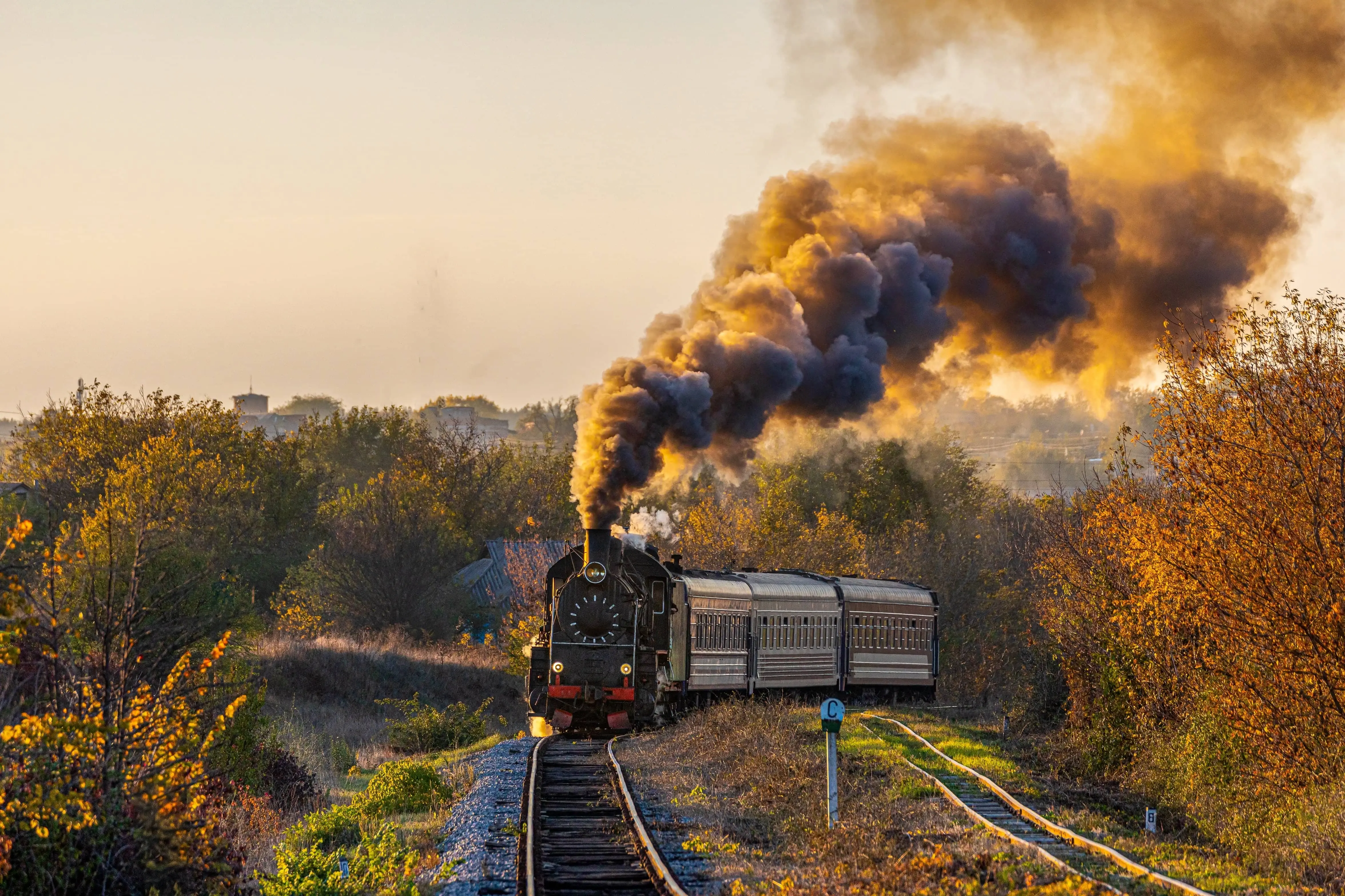Steam Train: A steam locomotive travelling straight on