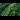 Model Trains: An aerial view of a train passing through an area of greenery